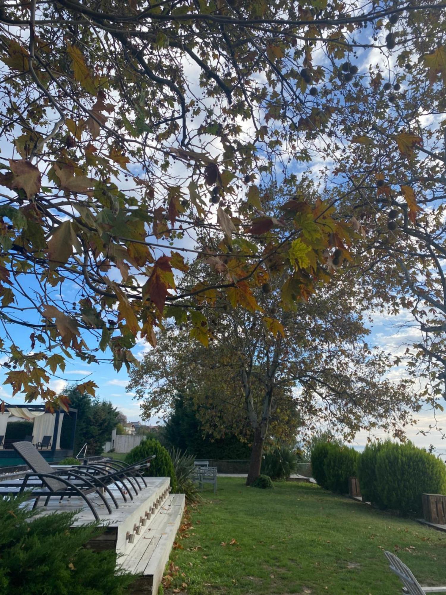 Gunduzlu Pia Mare Otel מראה חיצוני תמונה
